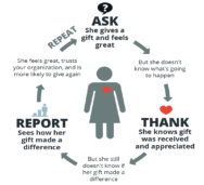 the fundraising "virtuous circle": Ask, Thank, Report, Repeat
